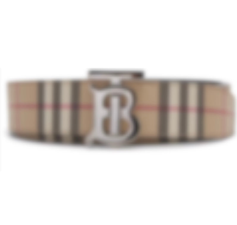 Burb3rr* Belt